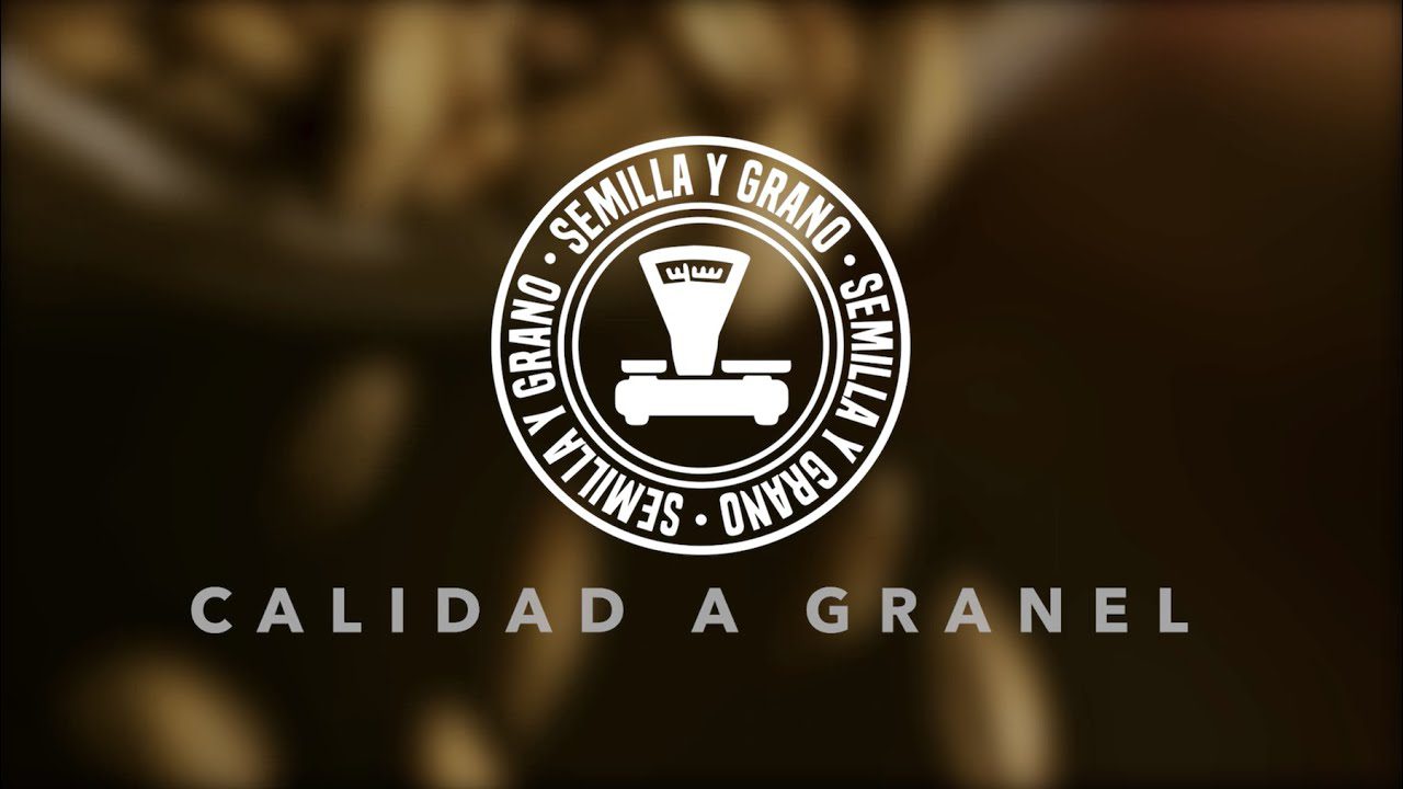 Comprar-frutos-secos-a-granel-para-la-tienda-de-productos-exclusivos-en-linea-1